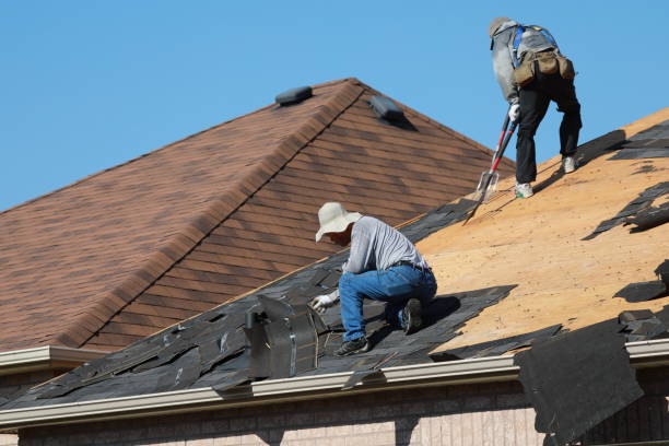 Best Rubber Roofing (EPDM, TPO)  in Azalea Park, FL